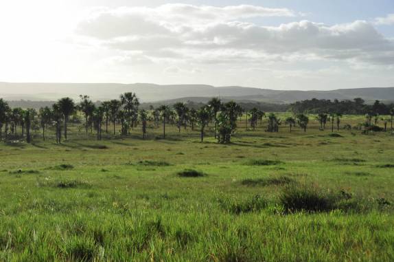 Paisagem típica da parte sul da Gran Sabana, na Venezuela